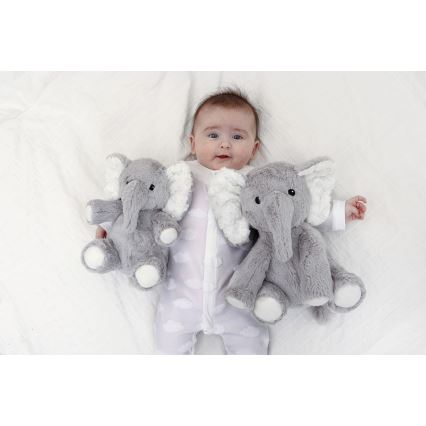 Cloud B - Compañero de acurrucamiento con melodía 2xAA elefante