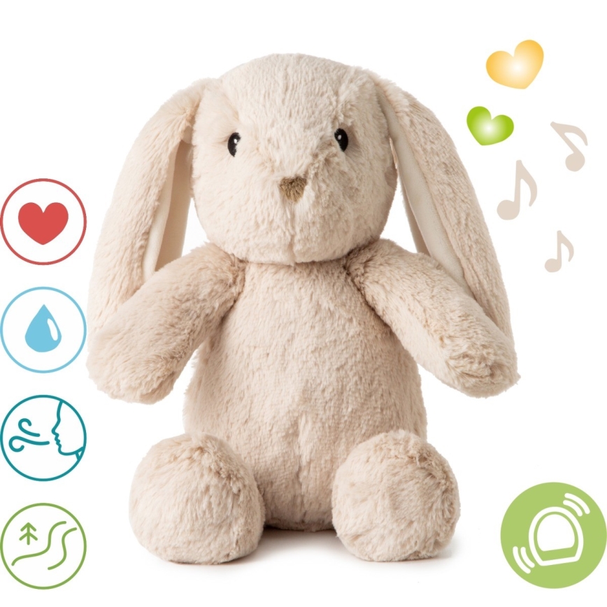 Cloud B - Pelele con melodía y luz conejo + USB