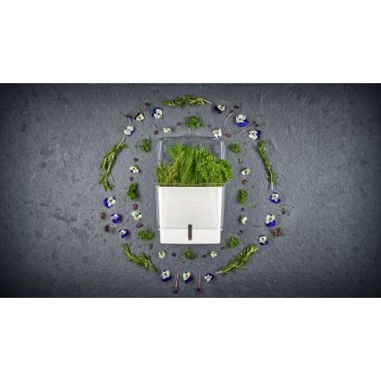 Cole&Mason - Recipiente para guardar hierbas recién cortadas