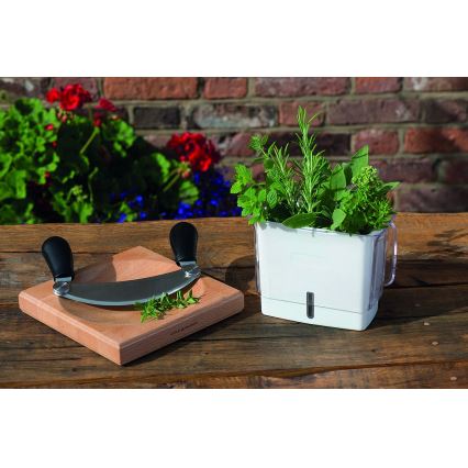 Cole&Mason - Tabla de cortar y cuna cuchillo 21,5x51,5 cm haya