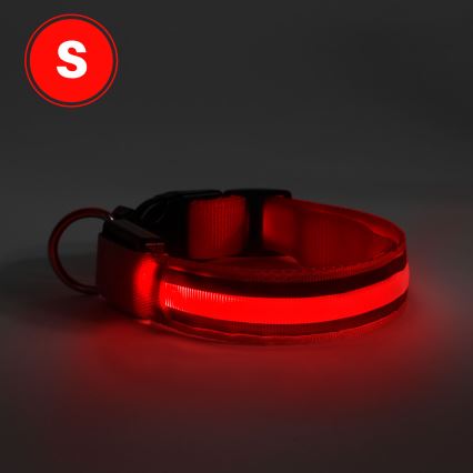 Collar recargable LED 35-43 cm 1xCR2032/5V/40 mAh rojo