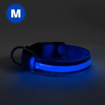 Collar recargable LED 40-48 cm 1xCR2032/5V/40 mAh azul