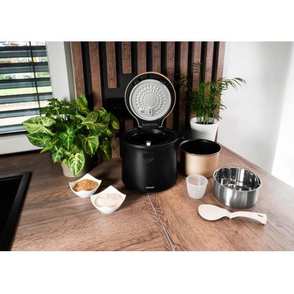 Concept RE4040 - Arrocera digital 2 en 1 450W/230V 2 l negro/acabado en madera
