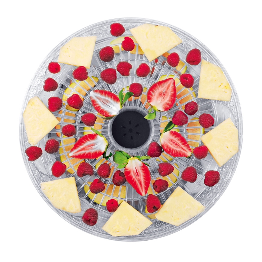 Concept SO2020 - Secador de alimentos 500W/230V blanco
