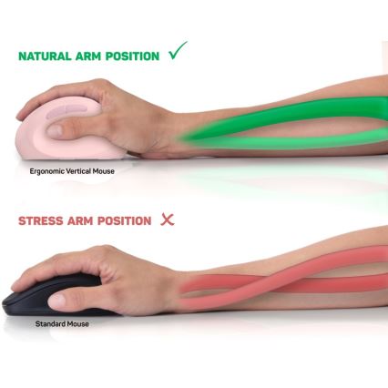 CONNECT IT CMO-2600-PK - Ratón inalámbrico ergonómico 800/1200/1600 DPI, 1 pila AA, color rosa