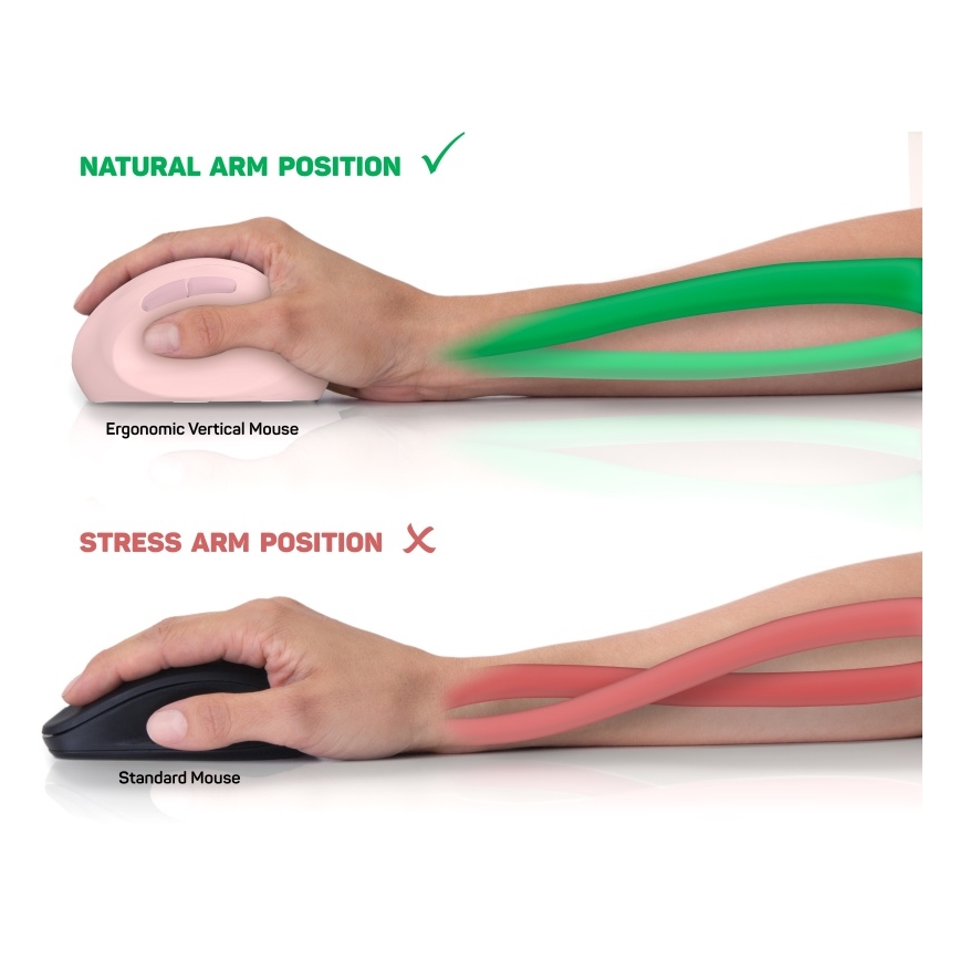 CONNECT IT CMO-2600-PK - Ratón inalámbrico ergonómico 800/1200/1600 DPI, 1 pila AA, color rosa