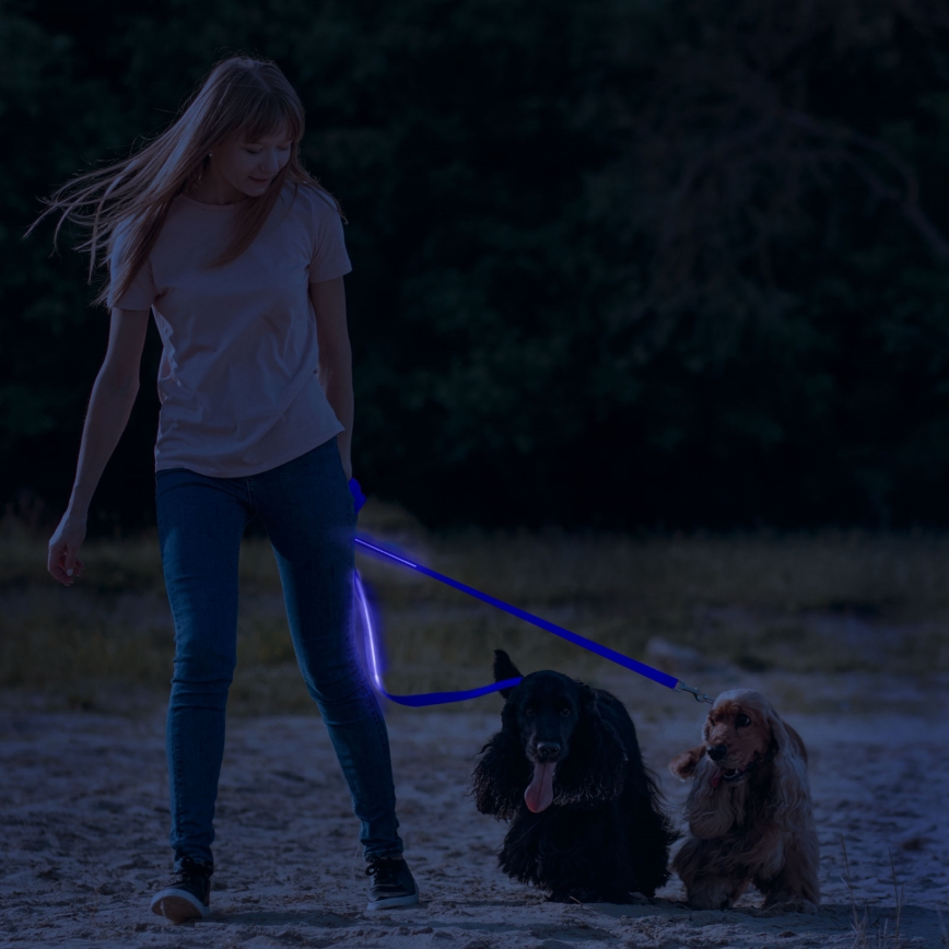 Correa LED recargable 120 cm 2xCR2032/5V/40 mAh azul