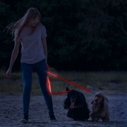 Correa recargable LED 120 cm 2xCR2032/5V/40 mAh rojo