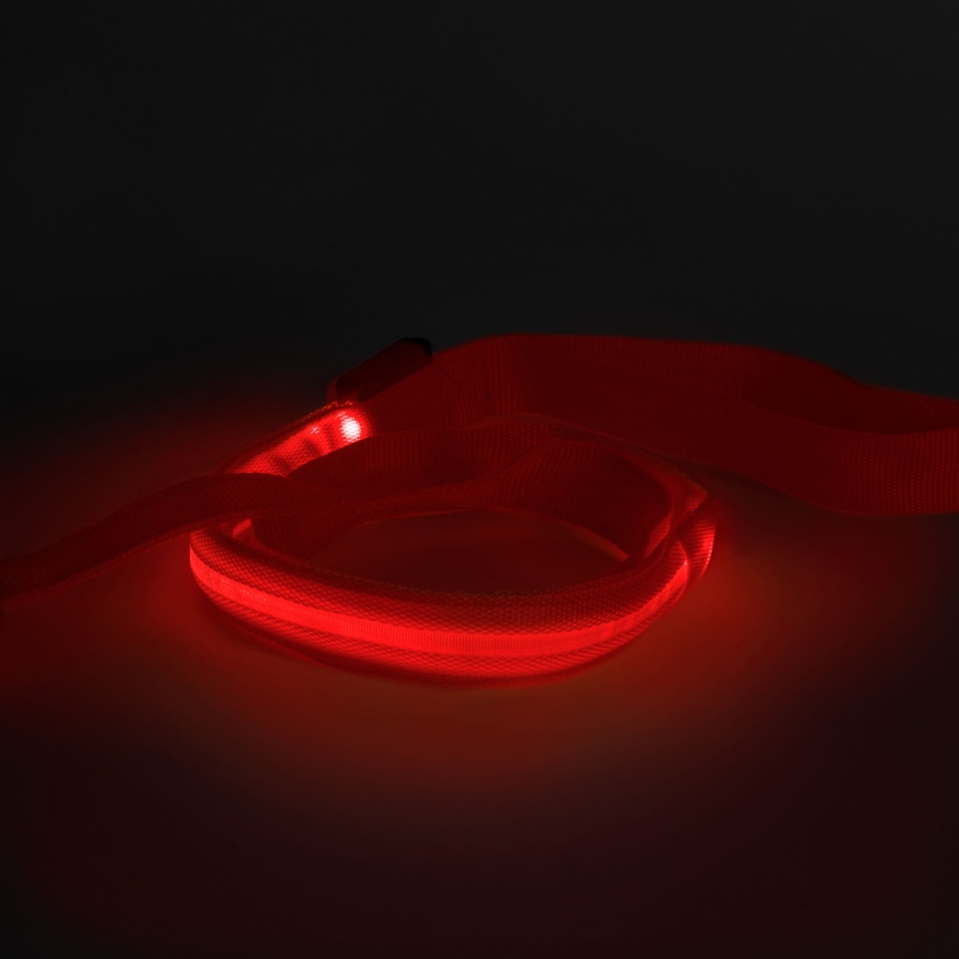 Correa recargable LED 120 cm 2xCR2032/5V/40 mAh rojo