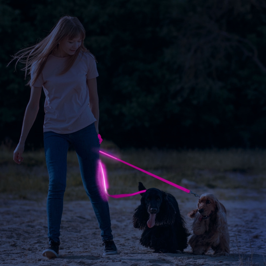 Correa recargable LED 120 cm 2xCR2032/5V/40 mAh rosa