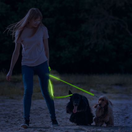 Correa recargable LED 120 cm 2xCR2032/5V/40 mAh verde