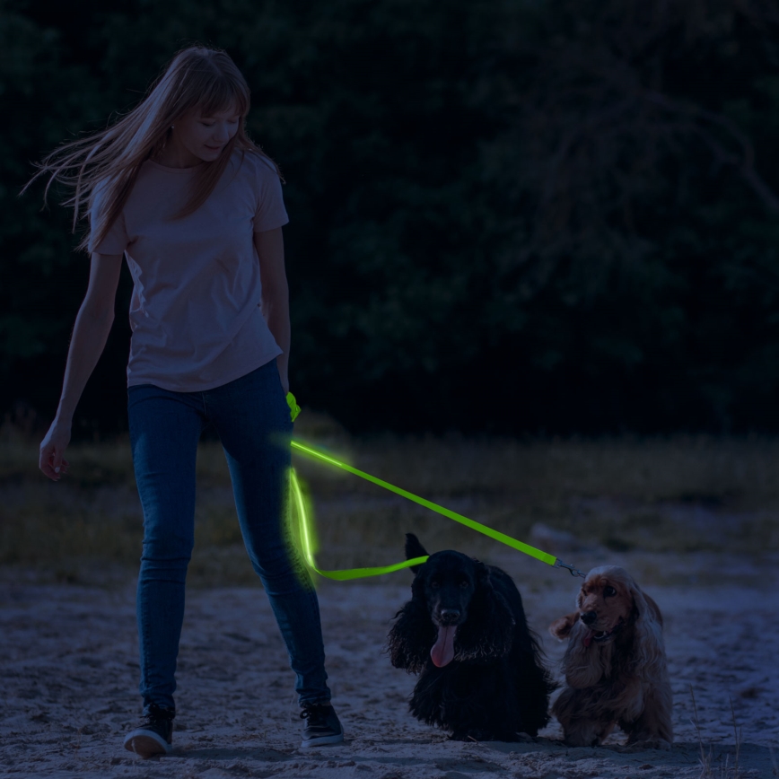 Correa recargable LED 120 cm 2xCR2032/5V/40 mAh verde