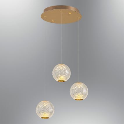 CREMONA Lámpara Colgante LED 3xLED/5W/230V 3000K Dorada