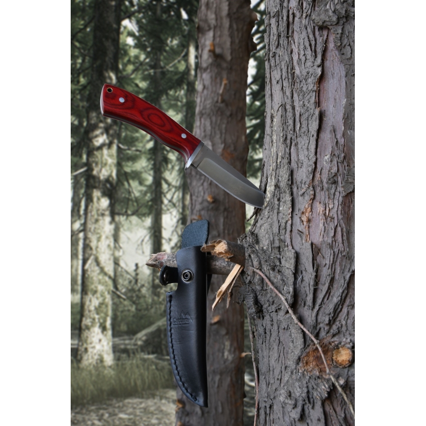 Cuchillo con funda de cuero de 21 cm