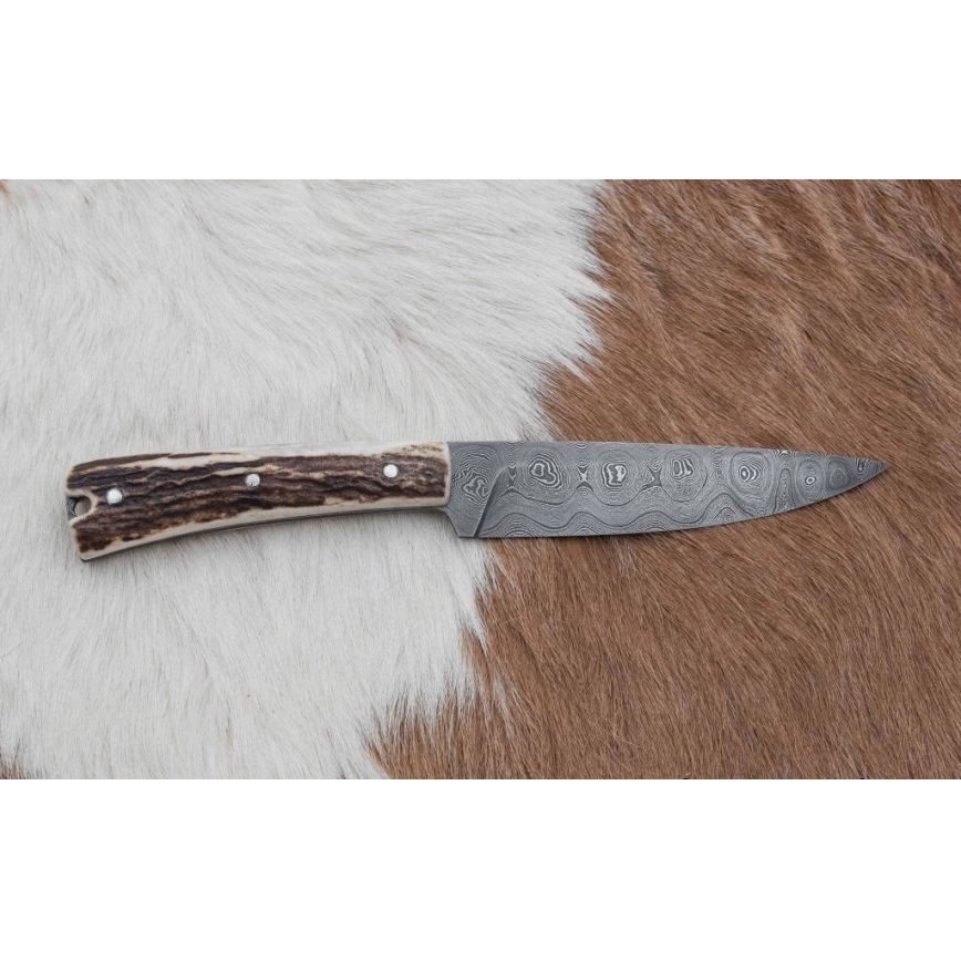 Cuchillo de caza 12 cm asta de ciervo