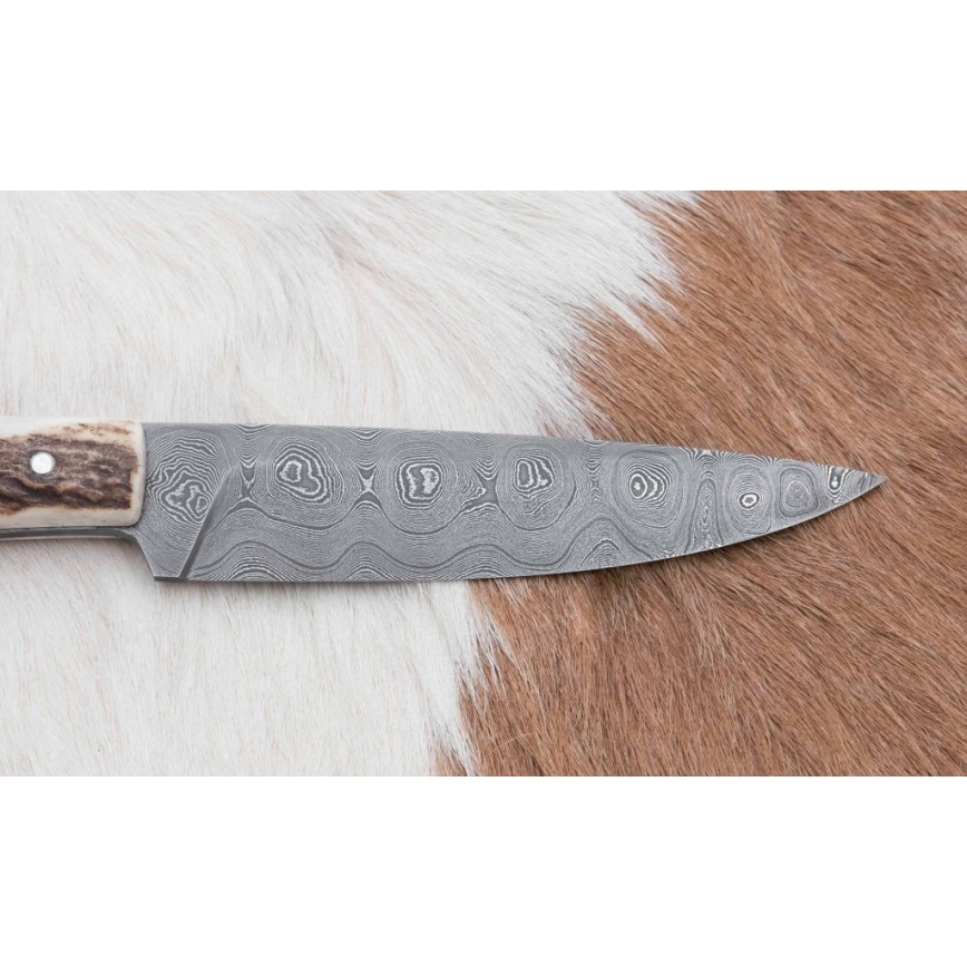 Cuchillo de caza 12 cm asta de ciervo