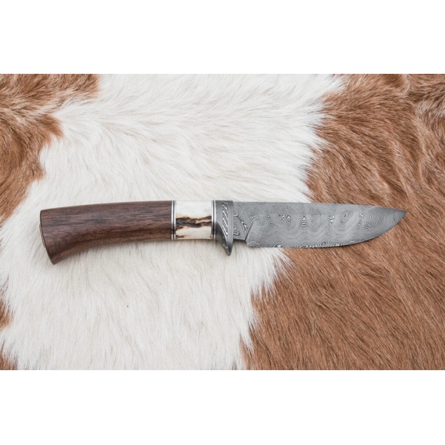 Cuchillo de caza Damasco 11,8 cm nogal/cuerno de ciervo