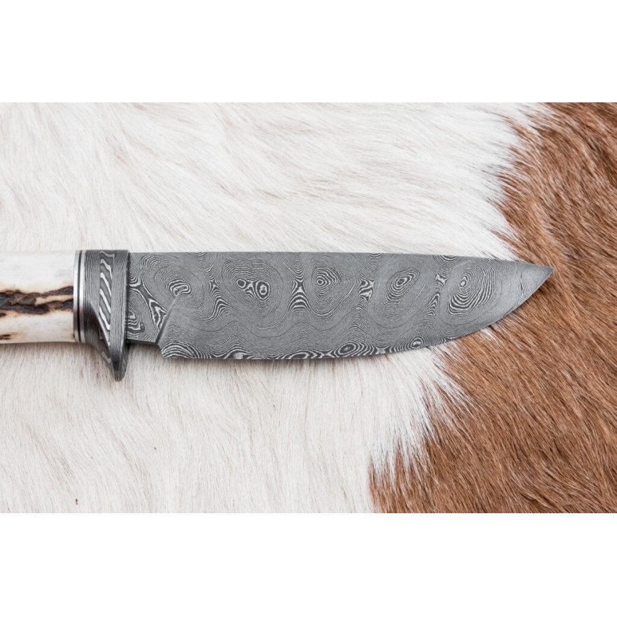 Cuchillo de caza Damasco 11,8 cm nogal/cuerno de ciervo