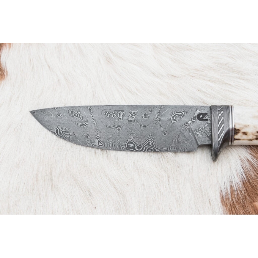 Cuchillo de caza Damasco 11,8 cm nogal/cuerno de ciervo