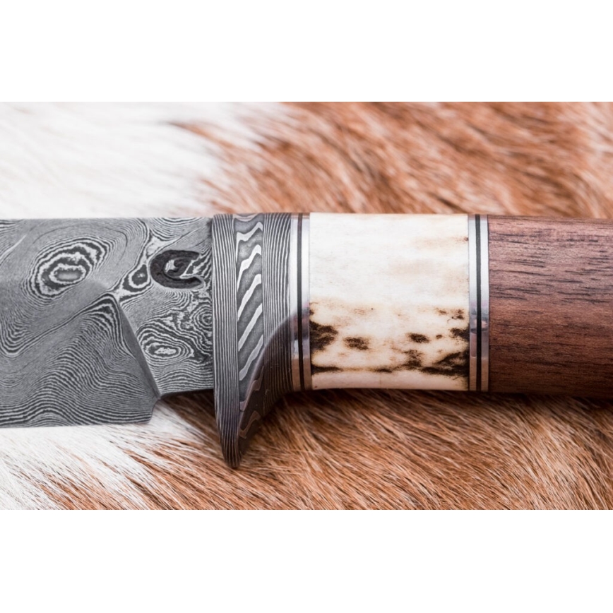 Cuchillo de caza Damasco 11,8 cm nogal/cuerno de ciervo