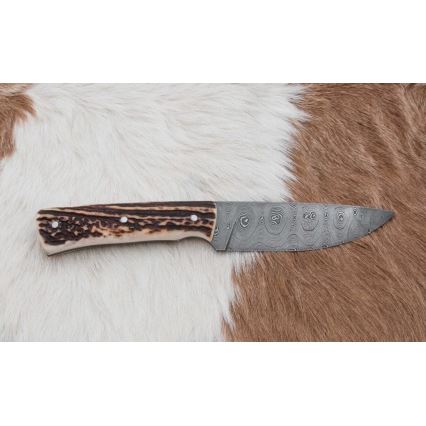 Cuchillo de caza Damasco 11 cm asta de ciervo
