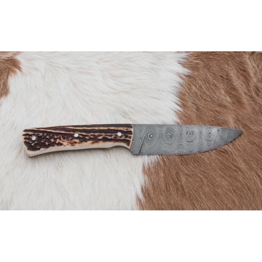 Cuchillo de caza Damasco 11 cm asta de ciervo