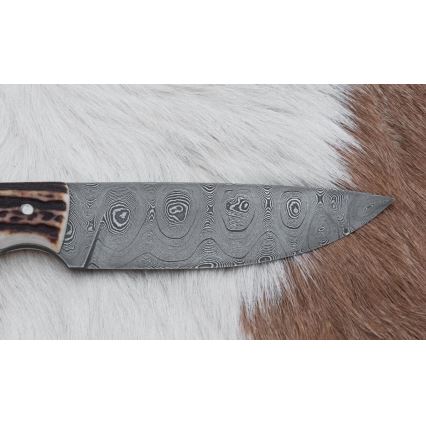 Cuchillo de caza Damasco 11 cm asta de ciervo