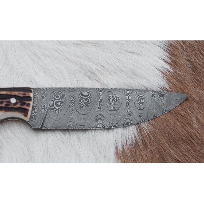Cuchillo de caza Damasco 11 cm asta de ciervo