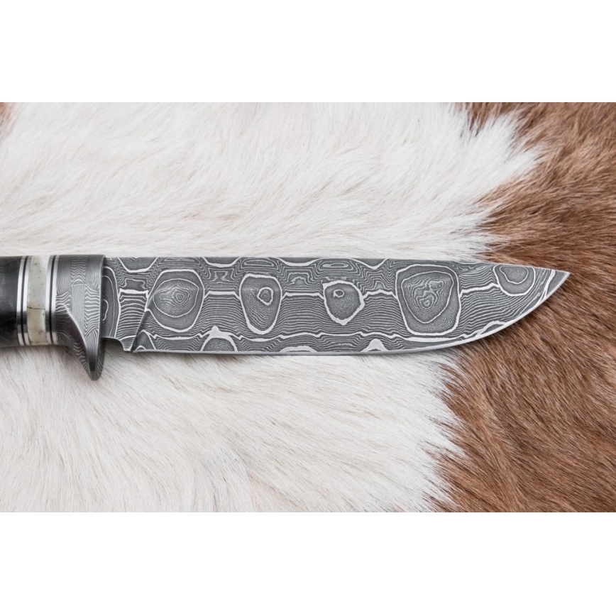 Cuchillo de caza Damasco 13,8 cm abedul/hueso de camello