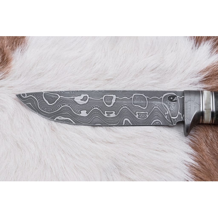 Cuchillo de caza Damasco 13,8 cm abedul/hueso de camello
