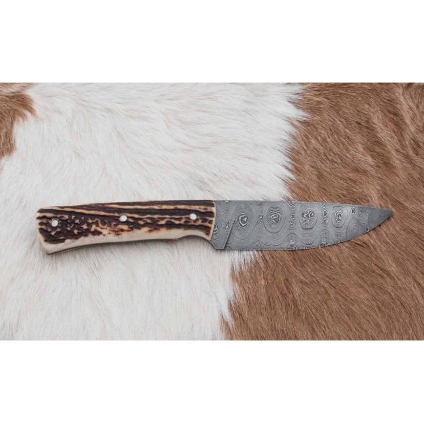 Cuchillo de caza de Damasco con mini sierra 11 cm Cuerno de ciervo