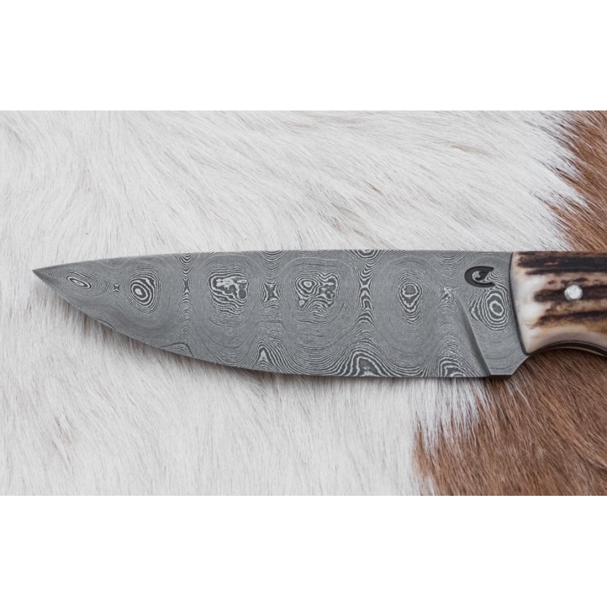 Cuchillo de caza de Damasco con mini sierra 11 cm Cuerno de ciervo