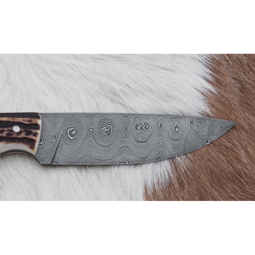Cuchillo de caza de Damasco con mini sierra 11 cm Cuerno de ciervo