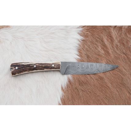 Cuchillo de caza de Damasco con sierra pequeña 12 cm Cuerno de ciervo
