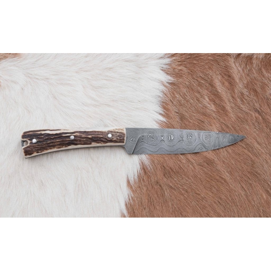 Cuchillo de caza de Damasco con sierra pequeña 12 cm Cuerno de ciervo