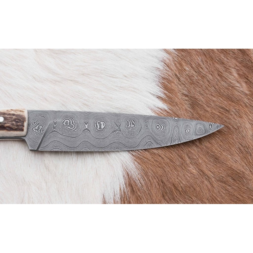 Cuchillo de caza de Damasco con sierra pequeña 12 cm Cuerno de ciervo
