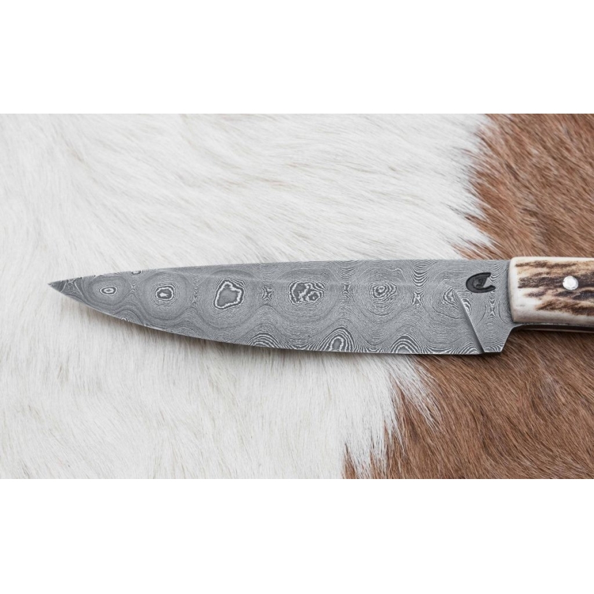 Cuchillo de caza de Damasco con sierra pequeña 12 cm Cuerno de ciervo