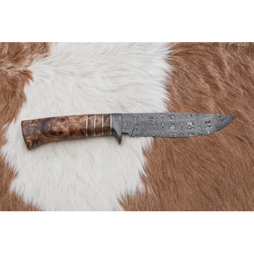Cuchillo exclusivo Damasco 14,4 cm árbol de castaño/diente de mamut