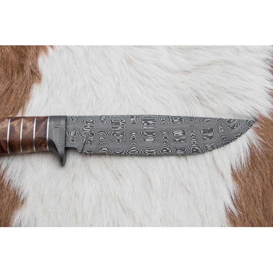 Cuchillo exclusivo Damasco 14,4 cm árbol de castaño/diente de mamut