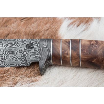 Cuchillo exclusivo Damasco 14,4 cm árbol de castaño/diente de mamut
