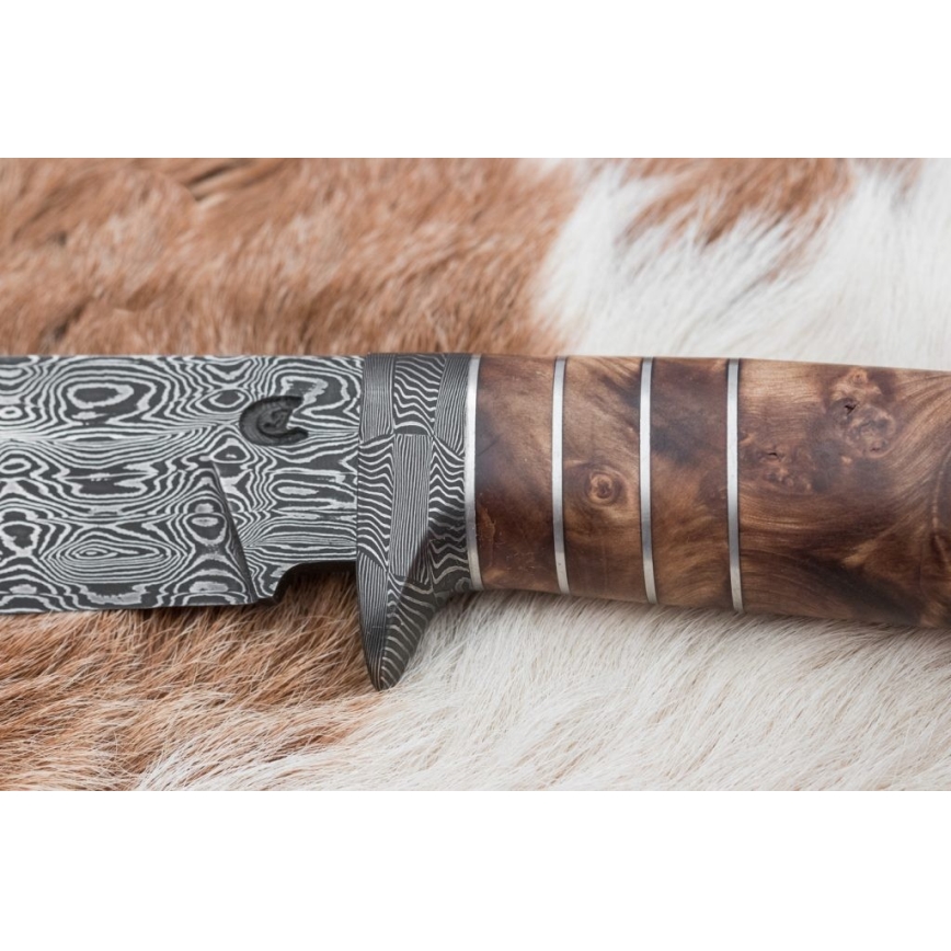 Cuchillo exclusivo Damasco 14,4 cm árbol de castaño/diente de mamut