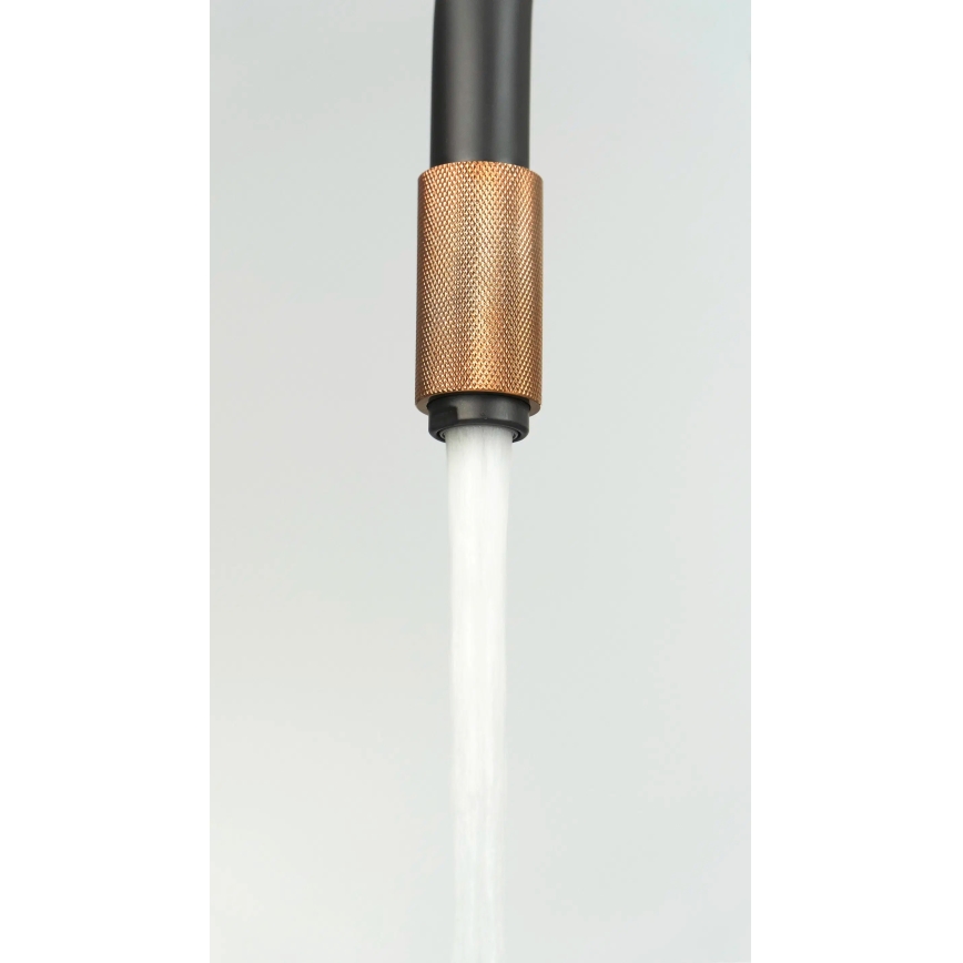 Deante BCA_B64M - Grifo para fregadero ASTER negro/latón