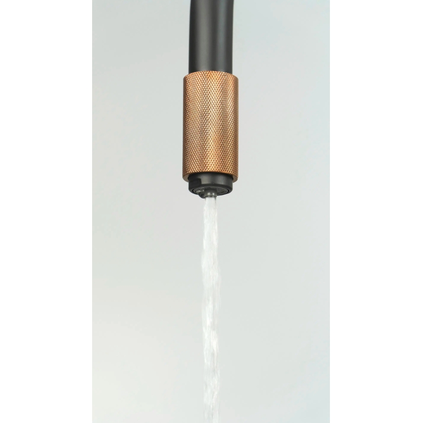 Deante BCA_B64M - Grifo para fregadero ASTER negro/latón