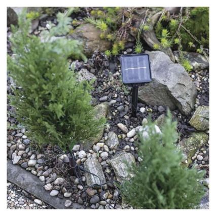 Decoración solar LED 50xLED/3W/1,2V 600 mAh IP44