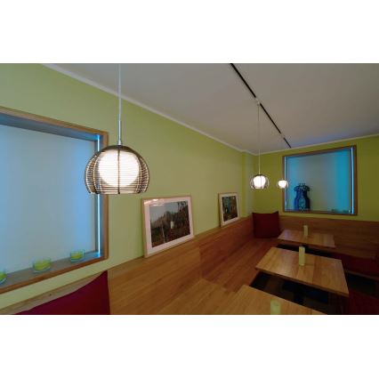 Deko-Light 342029 - Lámpara colgante FILO 1xG9/40W/230V diá. 16 cm plata