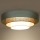 Duolla - Plafón LED LUNETA LED/26W/230V diá. 60 cm 4000K turquesa/beige/color crema