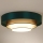 Duolla - Plafón LED LUNETA LED/26W/230V diá. 60 cm 4000K Verde/dorado/blanco