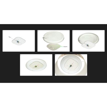 Duolla - Plafón LED LUNETA LED/26W/230V diá. 60 cm 4000K Verde/dorado/blanco