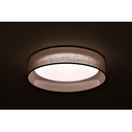 Duolla - Plafón LED ROLLER LED/24W/230V d. 45 cm gris claro