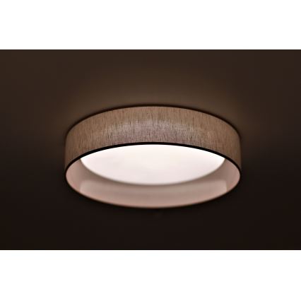 Duolla - Plafón LED ROLLER LED/24W/230V diá. 45 cm beige